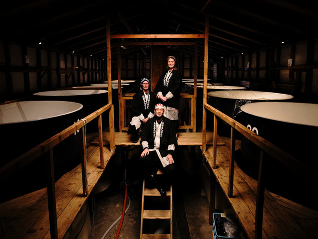 南部美人の画像 3枚目