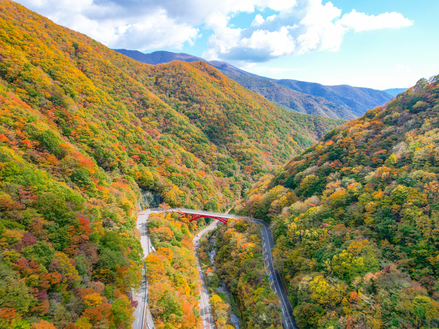 仙人峠の画像 1枚目