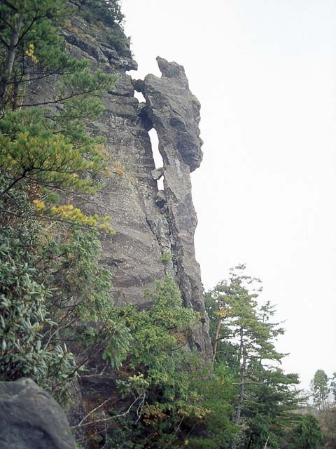 トカゲ岩の画像 1枚目