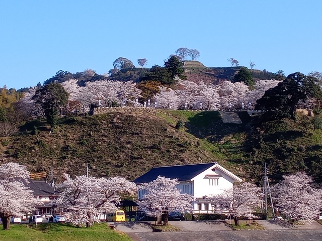 太鼓壇公園の画像 1枚目