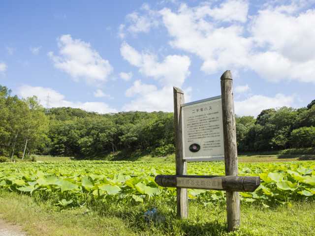 荒神谷史跡公園の画像 3枚目