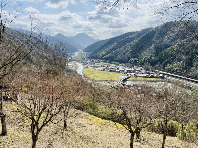 枕瀬山キャンプ場の画像 2枚目