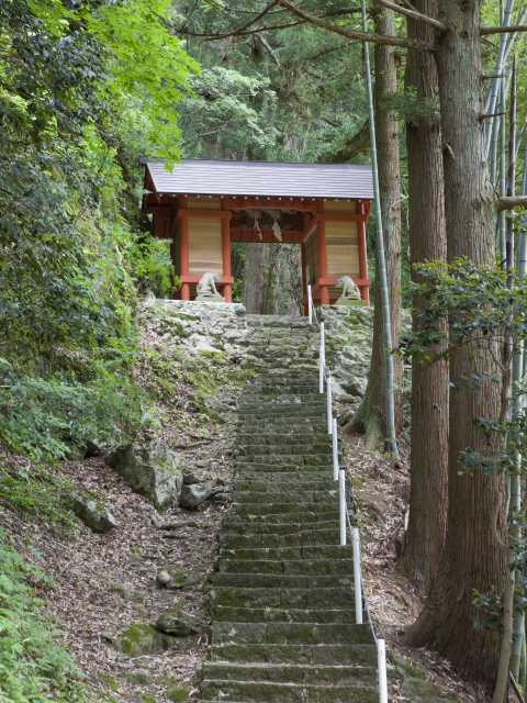 八重山神社の画像 1枚目