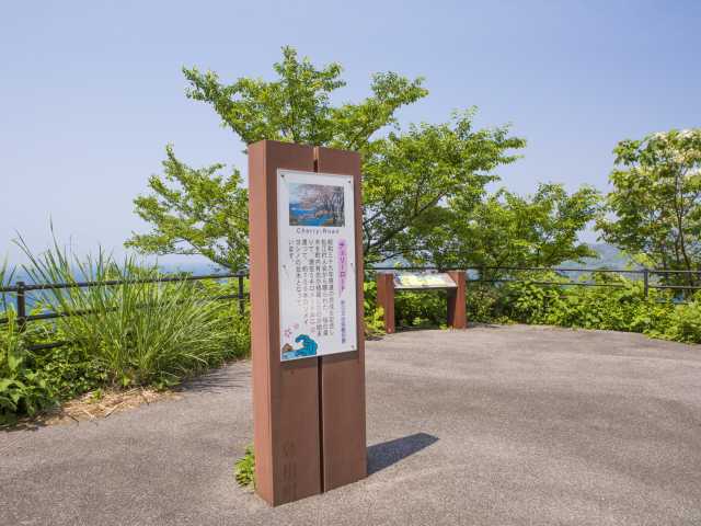 チェリーロード(佐波・野波間)の画像 4枚目