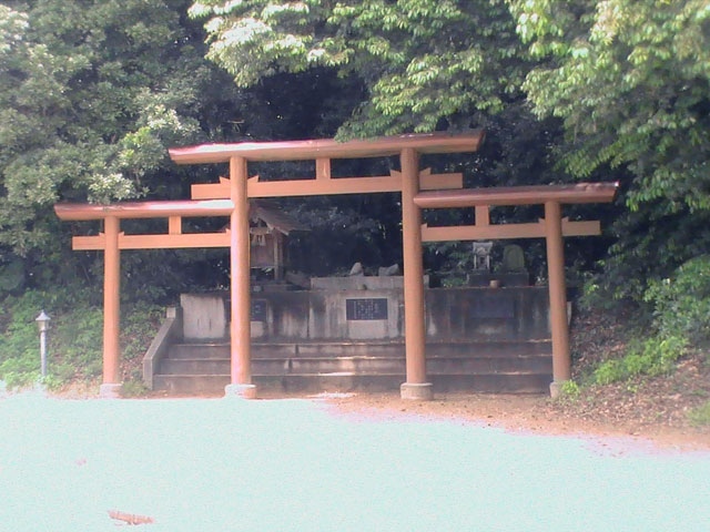 長浜神社の画像 3枚目