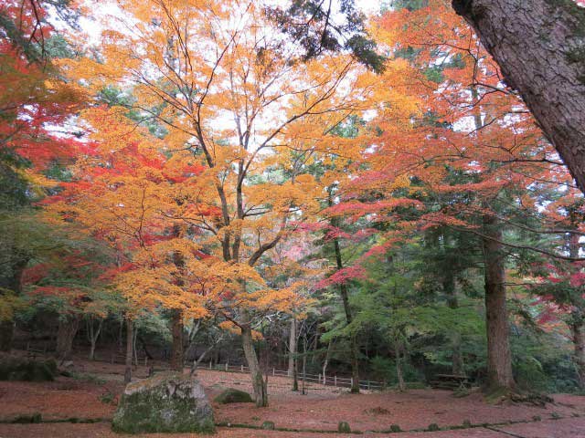 大元公園の画像 1枚目