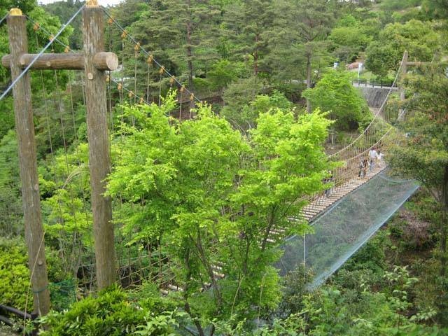 ひろしま遊学の森(広島市森林公園)の画像 4枚目