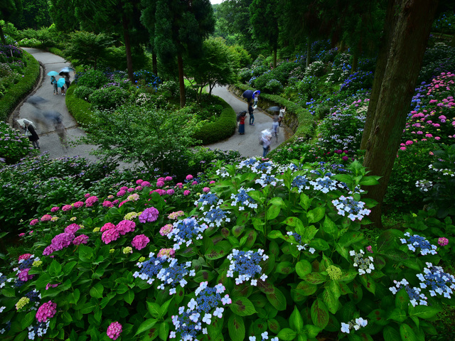 三景園の画像 4枚目
