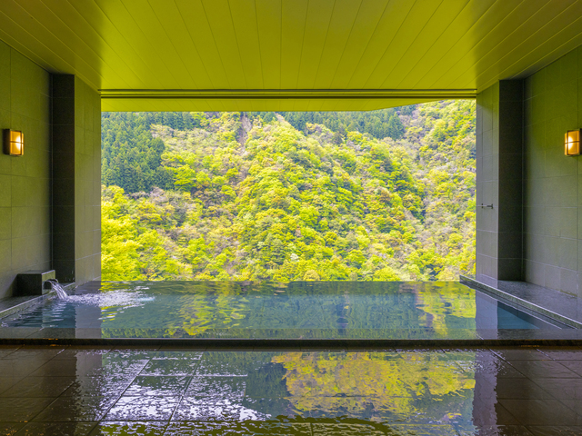 和の宿ホテル祖谷温泉(日帰り入浴)の画像 1枚目