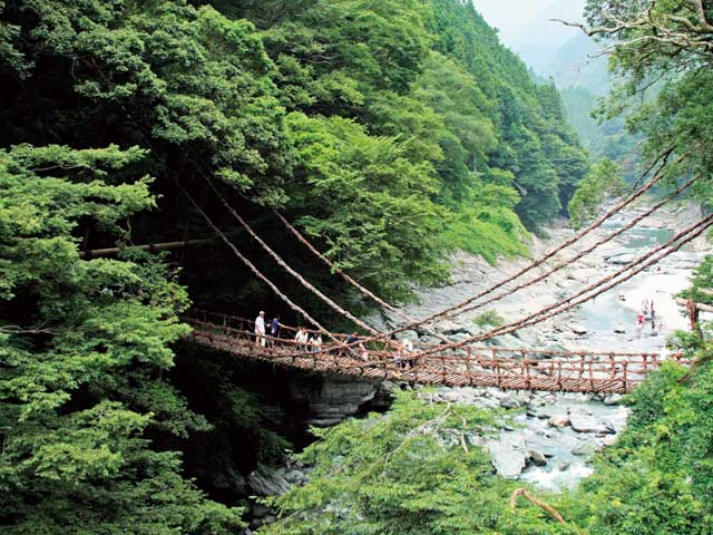 祖谷のかずら橋の画像 1枚目