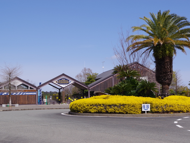 とくしま動物園 STELLA PRESCHOOL ANIMAL KINGDOMの画像 2枚目