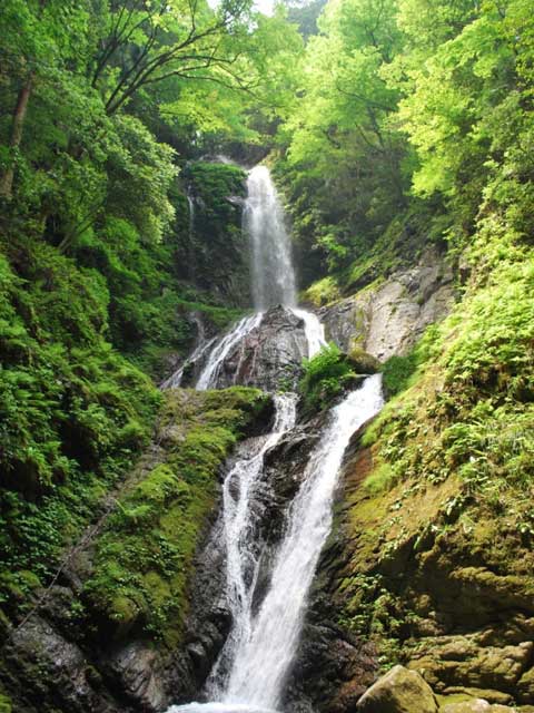 雨乞の滝の画像 1枚目