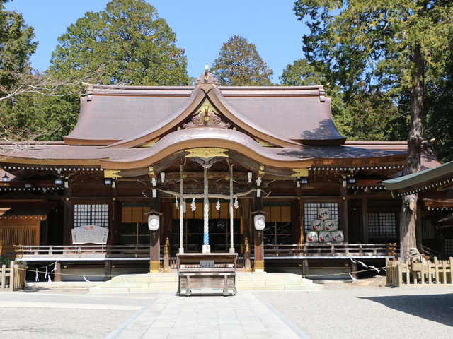 阿波一宮 大麻比古神社の画像 1枚目