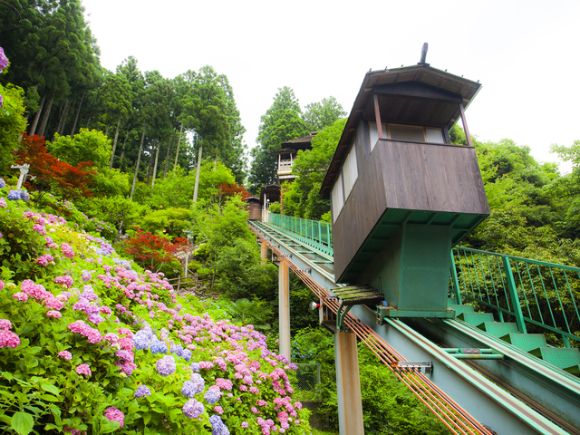 新祖谷温泉 ホテルかずら橋(日帰り入浴)の画像 2枚目