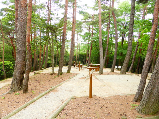 徳島県立佐那河内いきものふれあいの里キャンプ場の画像 4枚目