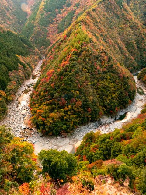 祖谷渓谷の画像 2枚目