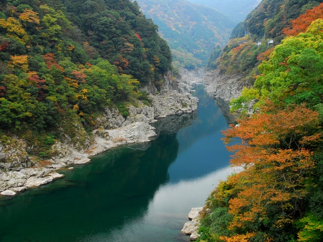 大歩危・小歩危の画像 2枚目