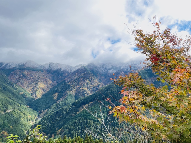 四国山岳植物園 岳人の森の画像 1枚目