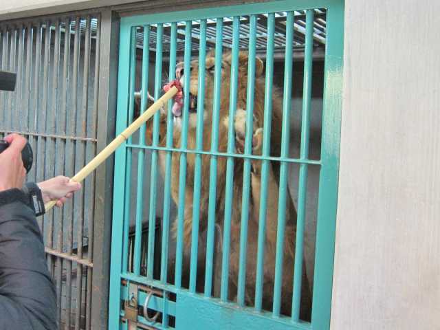 愛媛県立とべ動物園