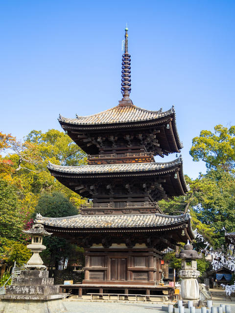 石手寺の画像 4枚目