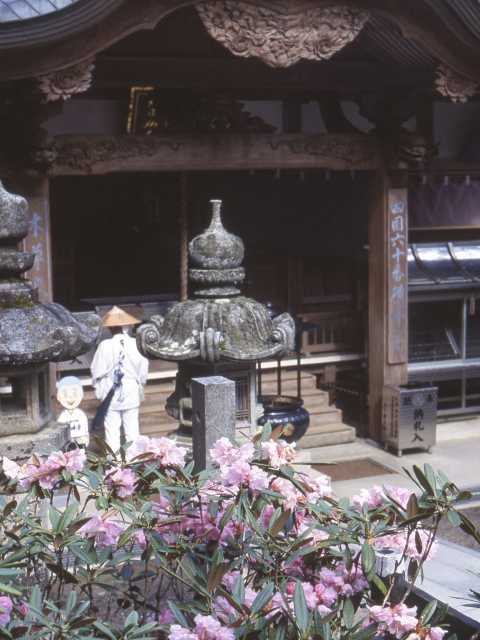 横峰寺の画像 3枚目