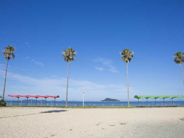 桜井海岸