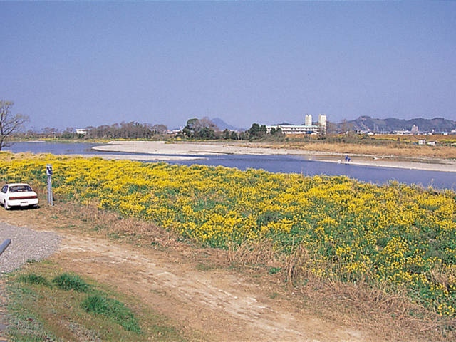 重信川河口の画像 1枚目