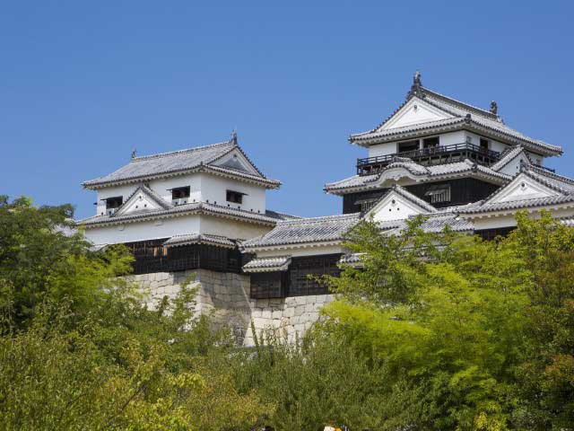 松山城の画像 1枚目