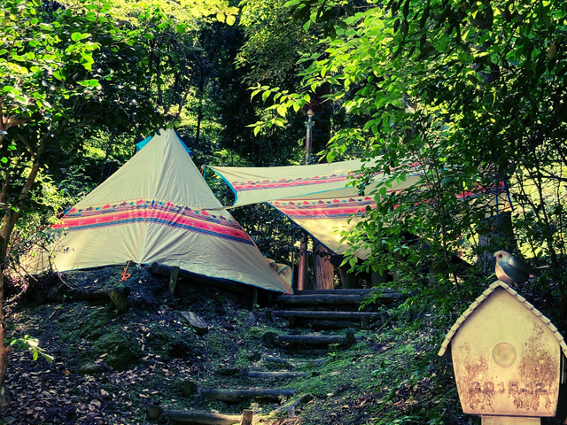 えひめ森林公園(キャンプ場)の画像 1枚目