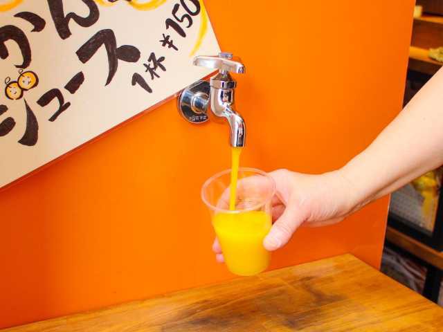 えひめキッチンの画像 1枚目