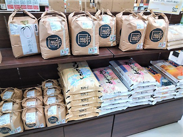 いしづち山麓マルシェの画像 3枚目