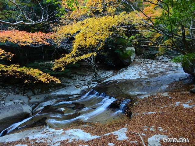 足摺宇和海国立公園(愛媛県)の画像 1枚目