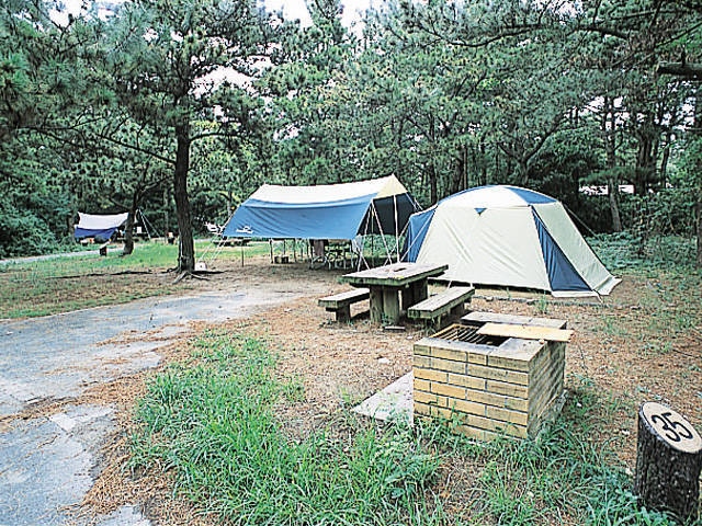 休暇村伊良湖オートキャンプ場の画像 4枚目