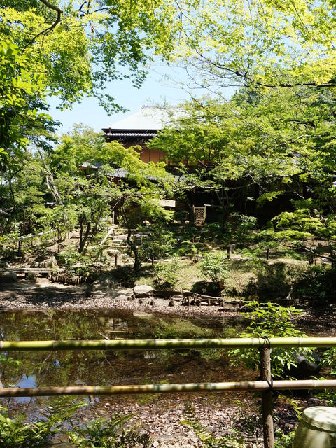 昭和美術館の画像 4枚目