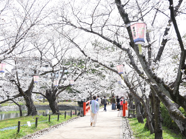 亀城公園の画像 2枚目