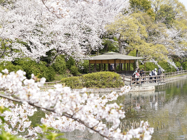 亀城公園の画像 1枚目