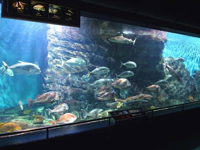 碧南海浜水族館・碧南市青少年海の科学館の画像 1枚目