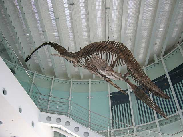 生命の海科学館