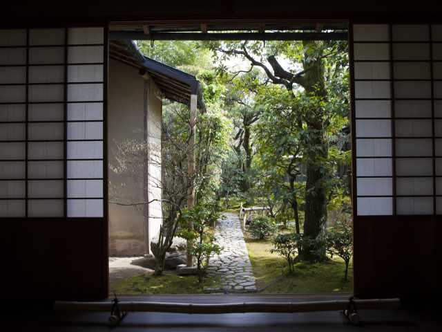 日本庭園 有楽苑の画像 3枚目