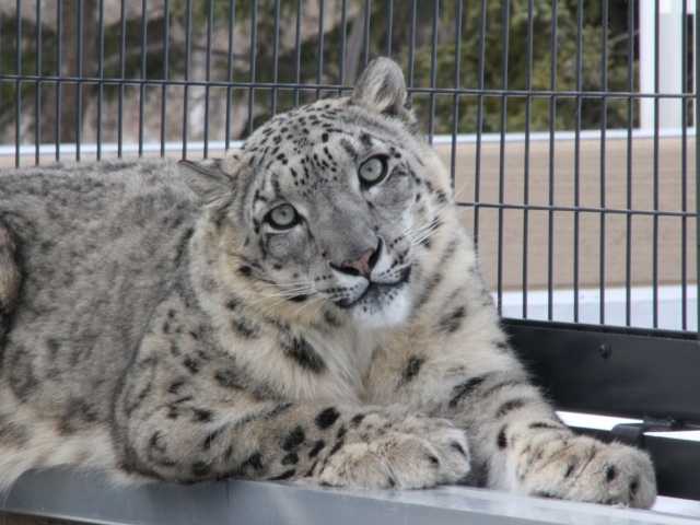 東山動植物園