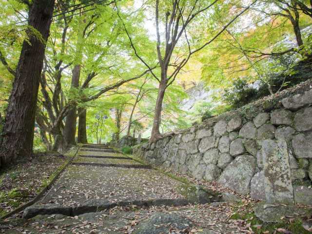 大鷲院の画像 4枚目