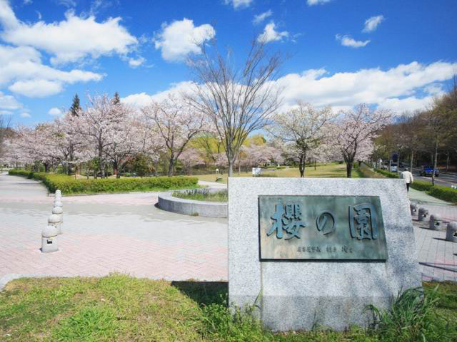 平和公園の桜の画像 1枚目
