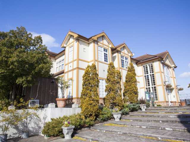 名古屋港ワイルドフラワーガーデン ブルーボネットの画像 4枚目