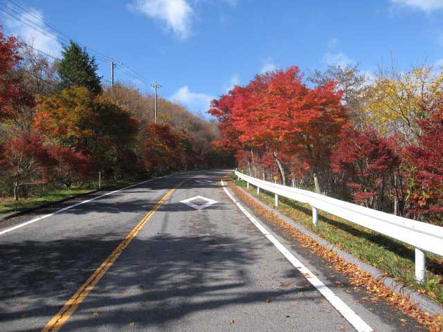 やまなみ展望台の画像 4枚目