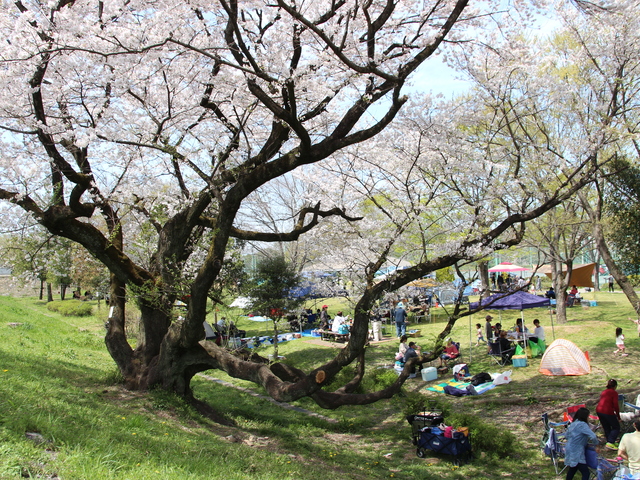 大野極楽寺公園の画像 2枚目