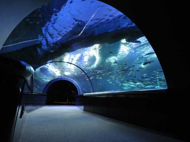 新潟市水族館 マリンピア日本海の画像 1枚目