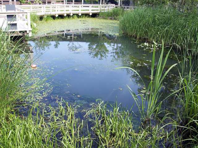 新潟市水族館 マリンピア日本海