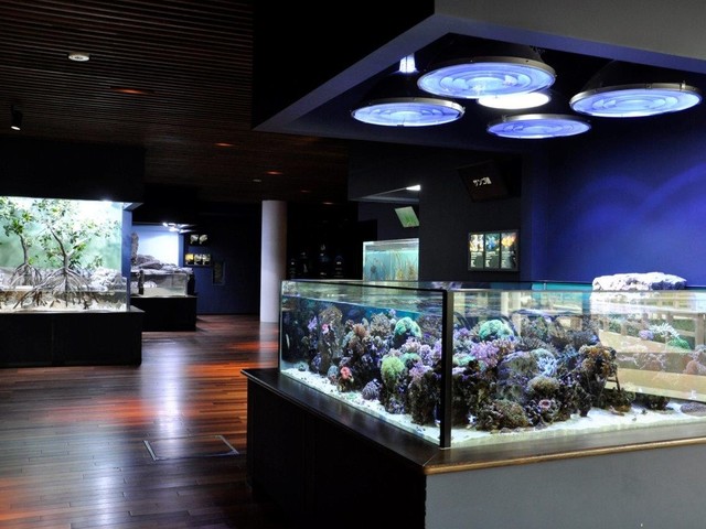 新潟市水族館 マリンピア日本海の画像 2枚目