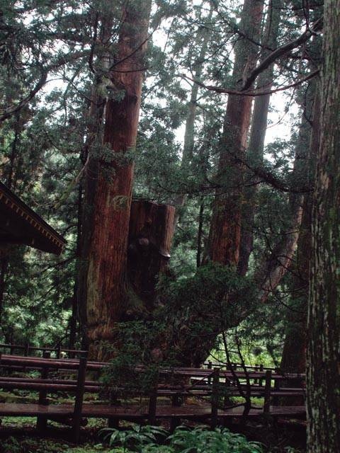 平等寺薬師堂の画像 4枚目