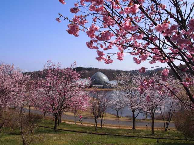 新潟県立植物園